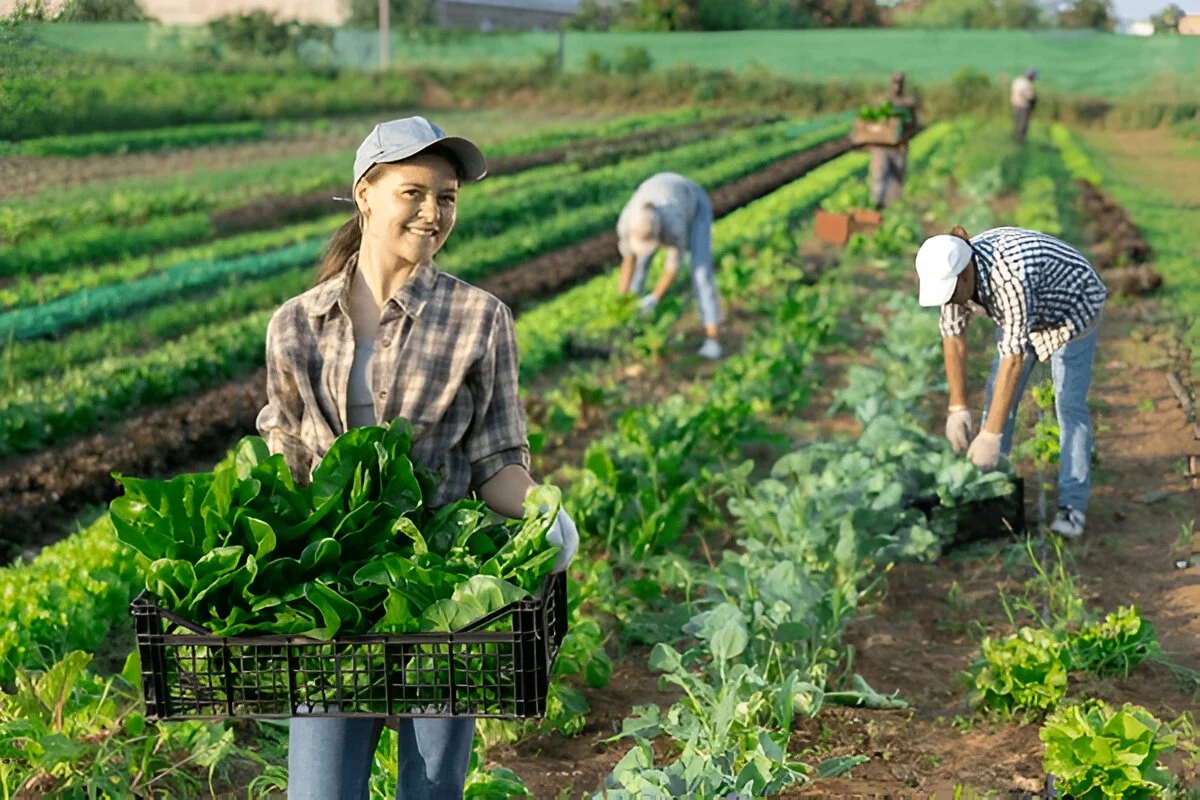 Crop Farmers